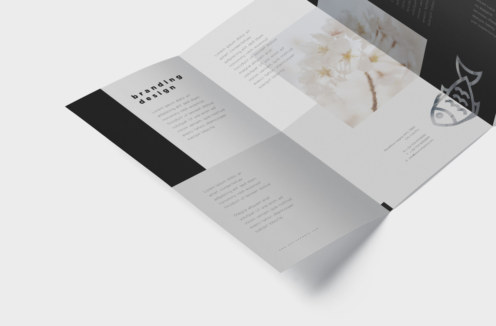 a4 brochure
