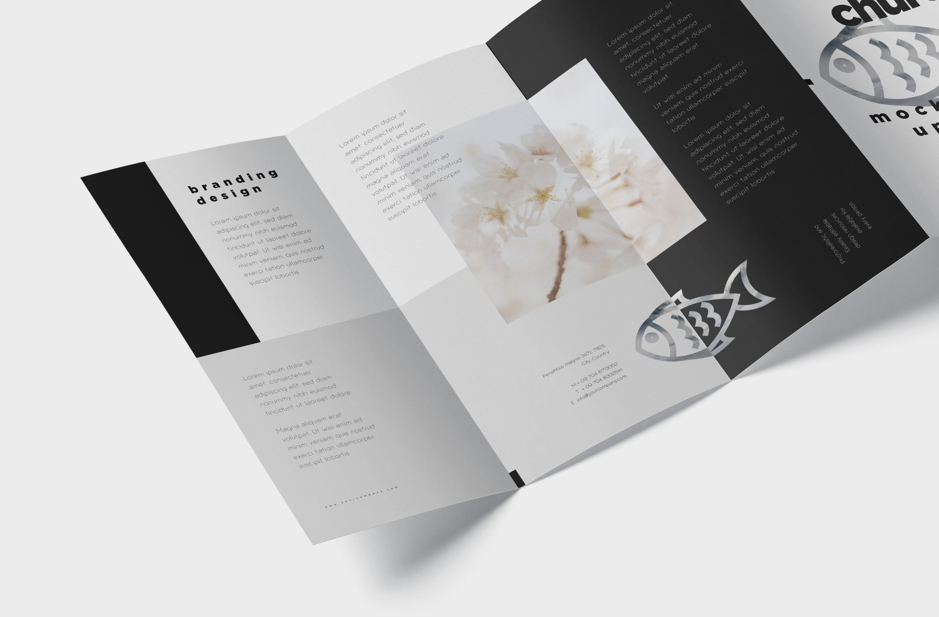 a4 brochure