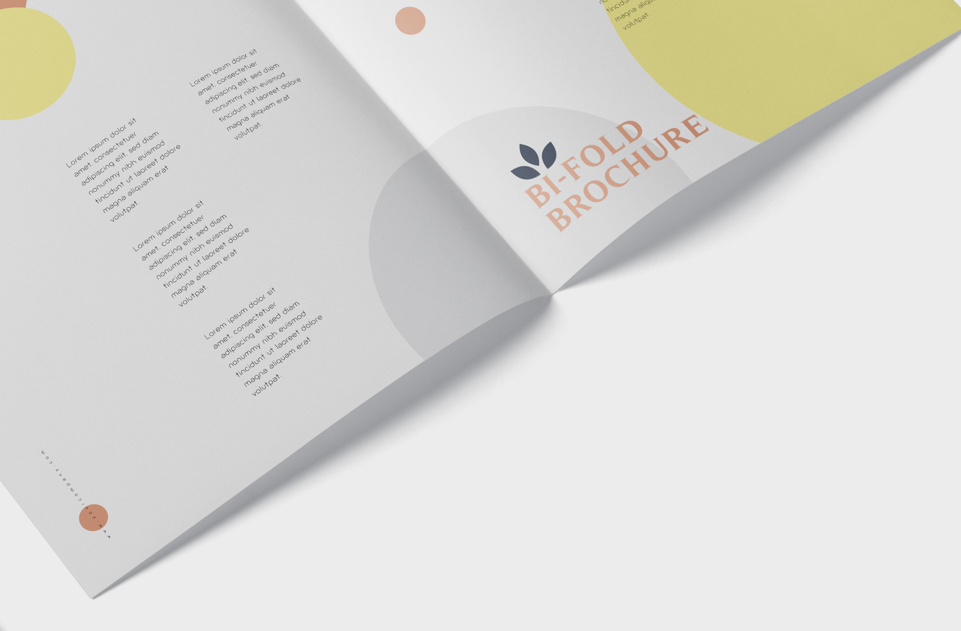 A4 brochure mockup