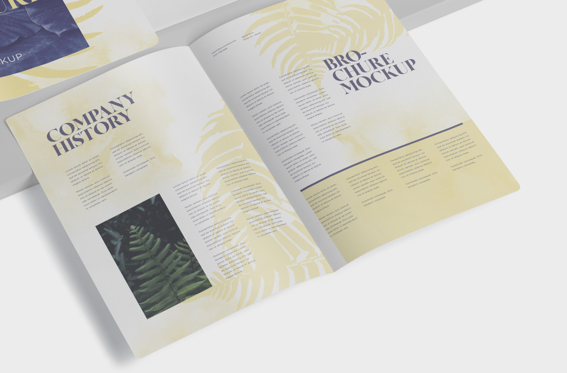 A5 brochure