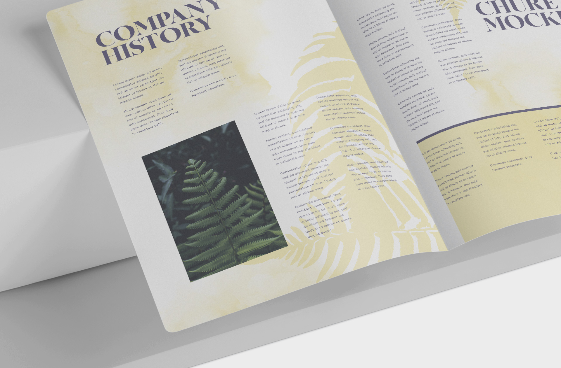 A5 brochure