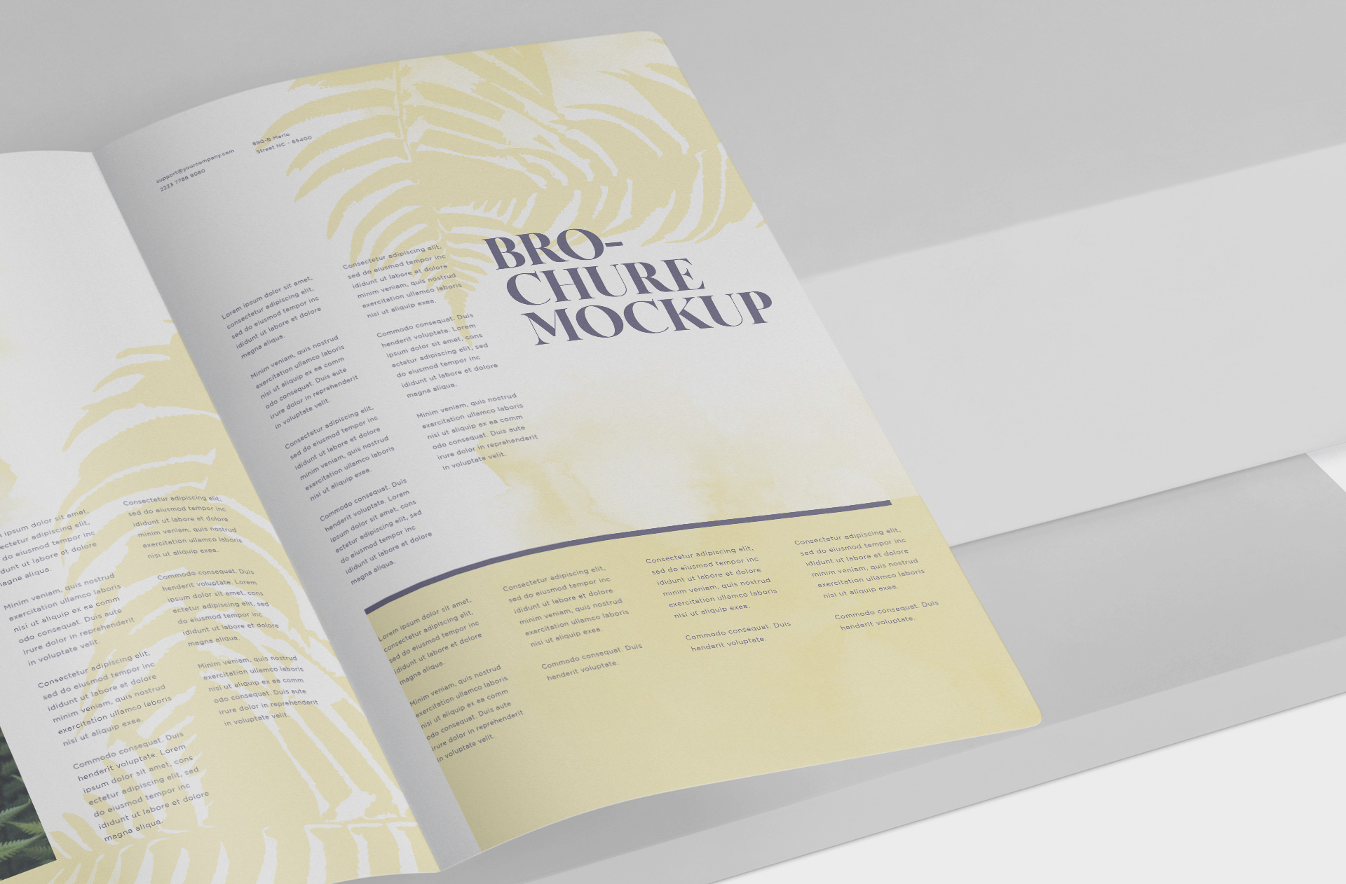 A5 brochure