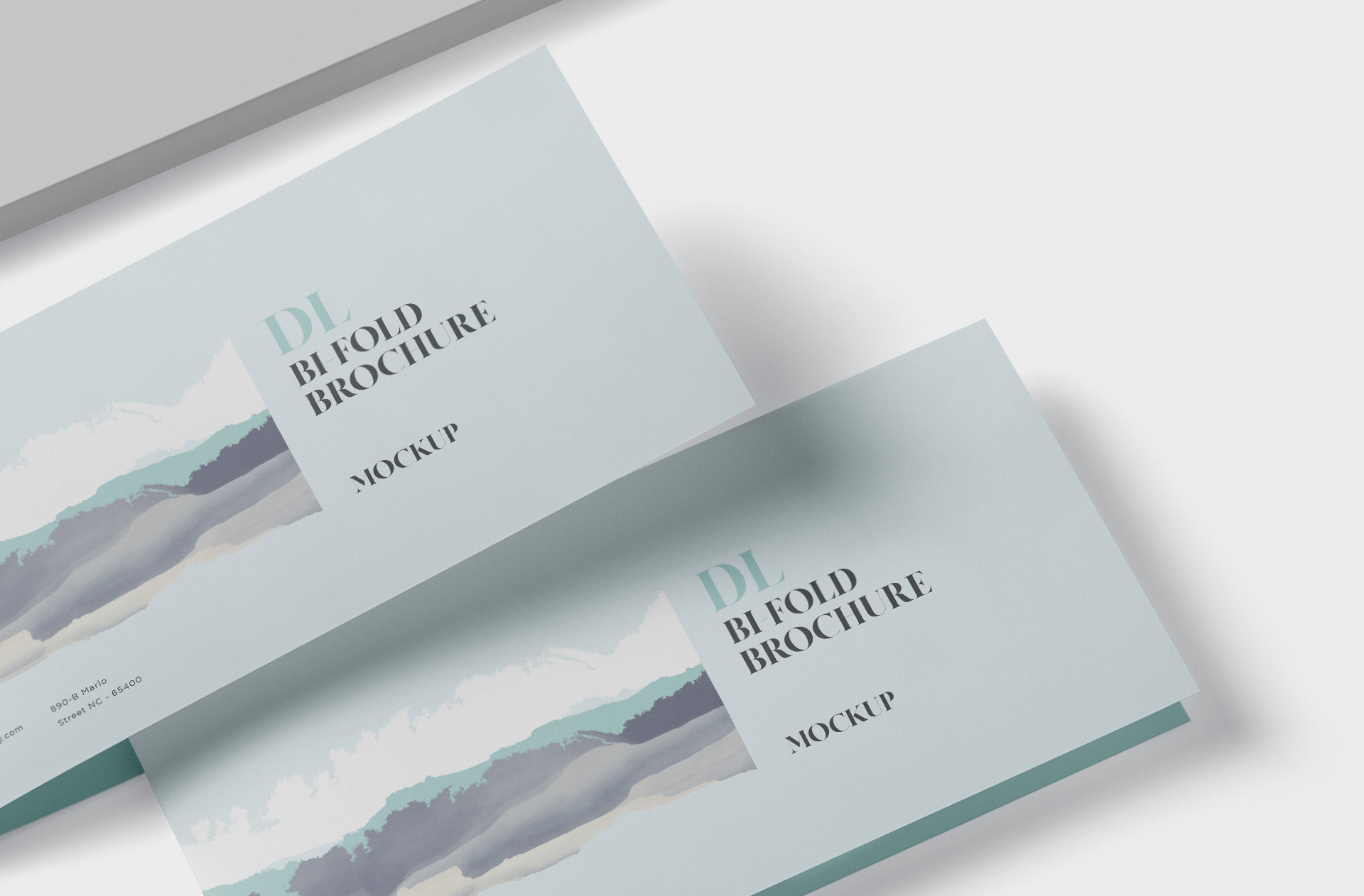 A4 folded flyer