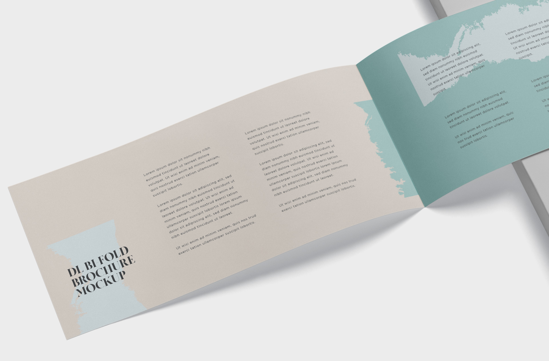 A4 bi-fold mockup