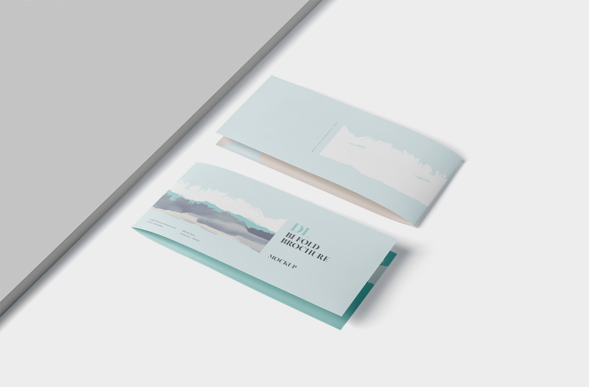 Stylish DL Bi-Fold Brochure Mockup – Top View