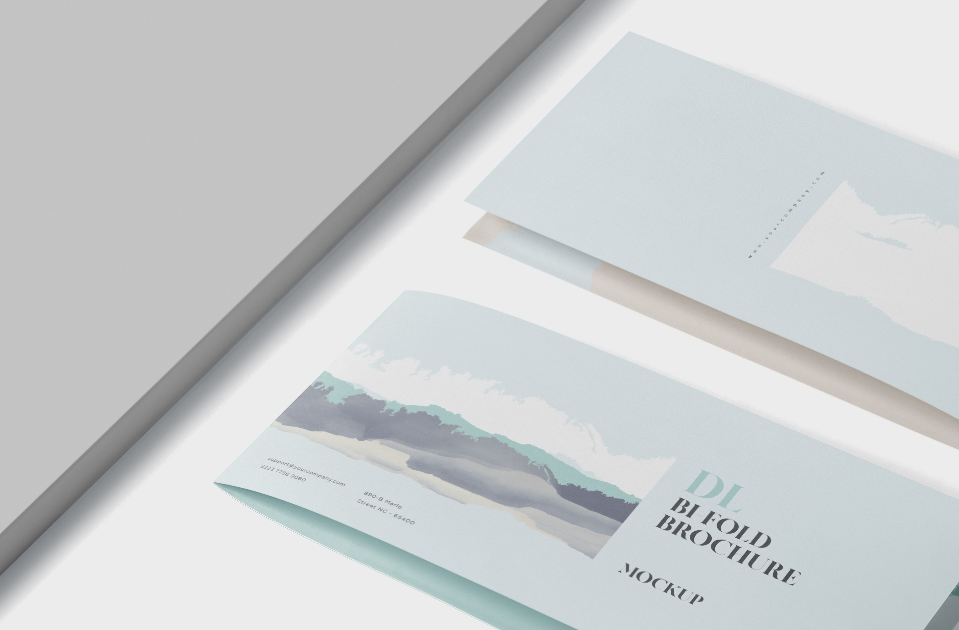 bi-fold mockup