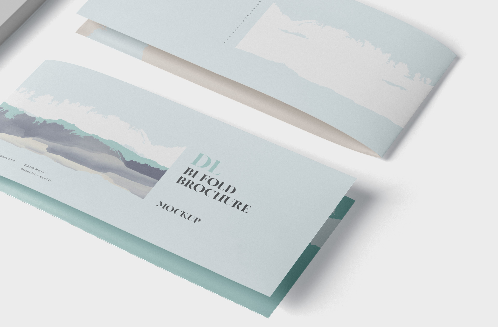 bi-fold mockup