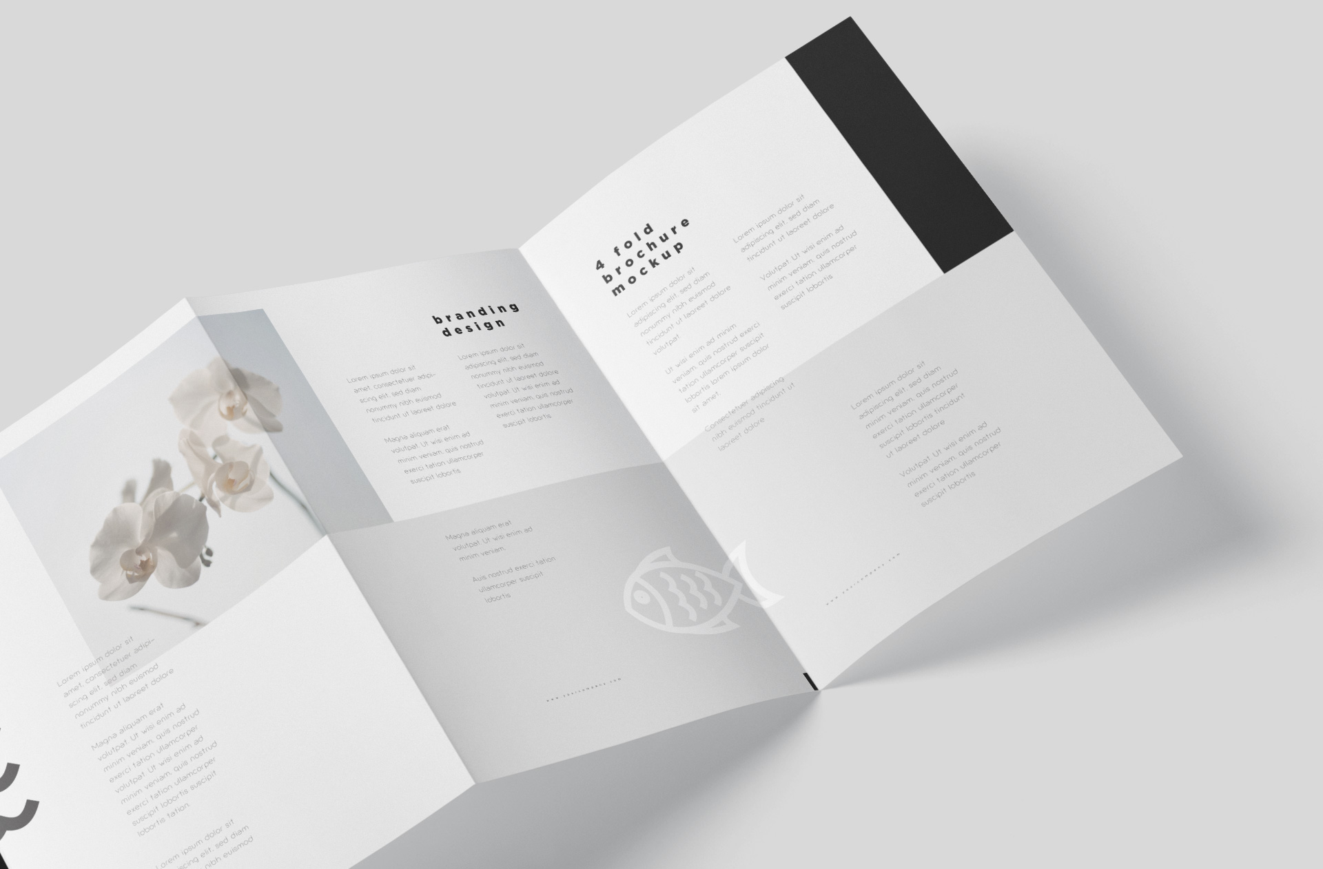 A4 brochure mockup