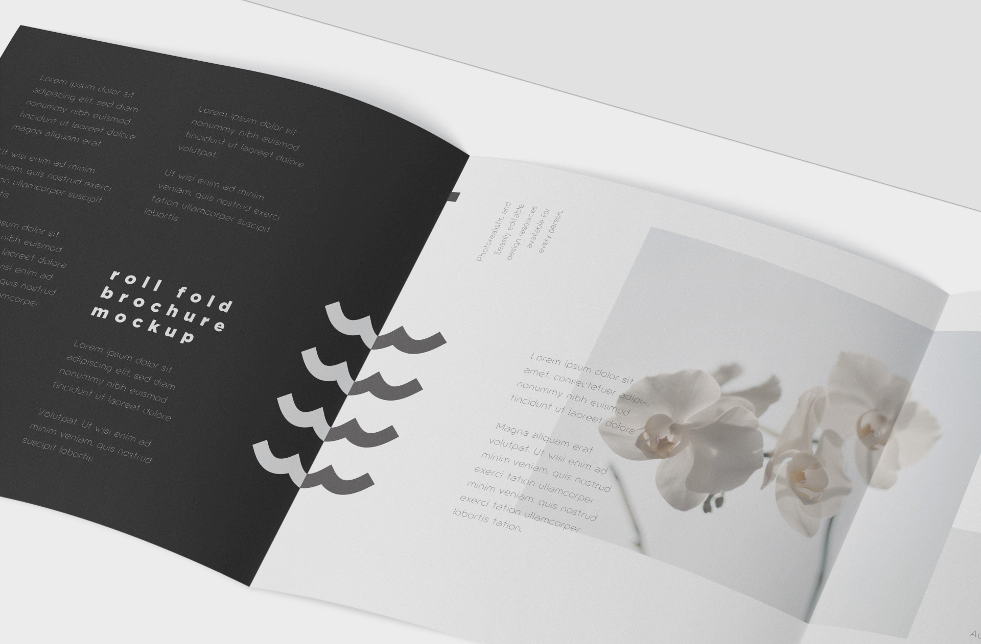 brochure mock-up