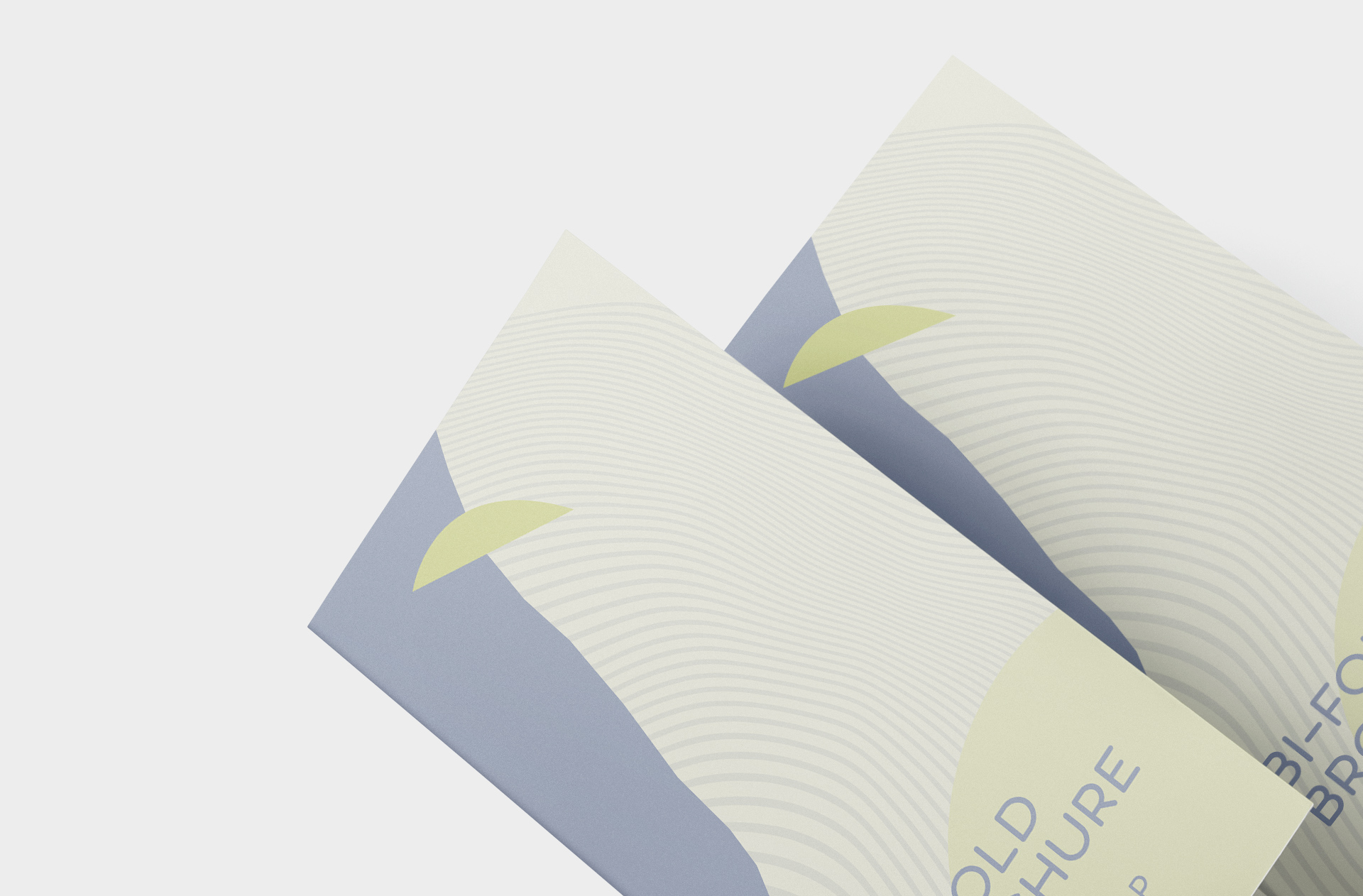 bi-fold flyer