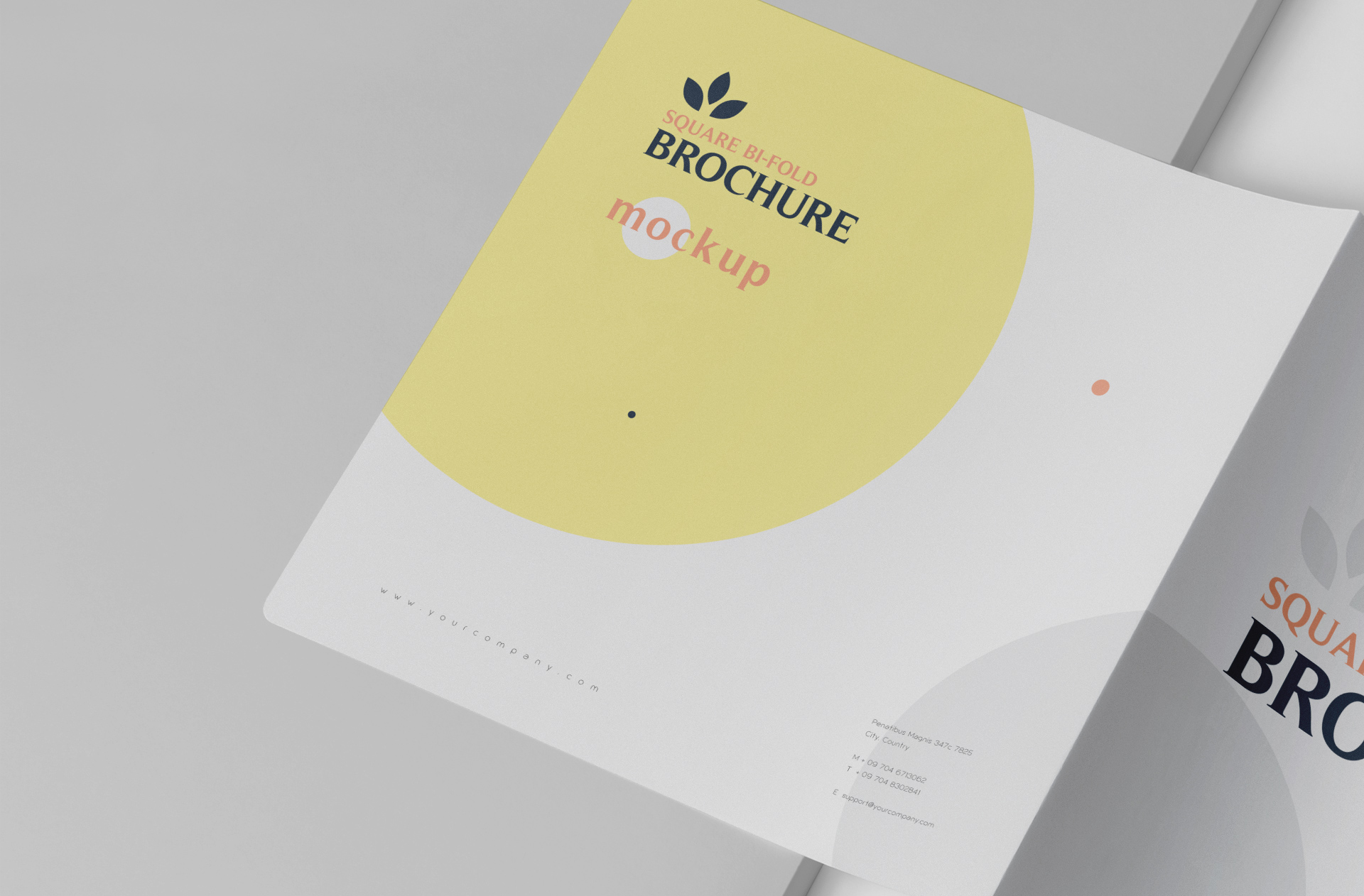branding mockup