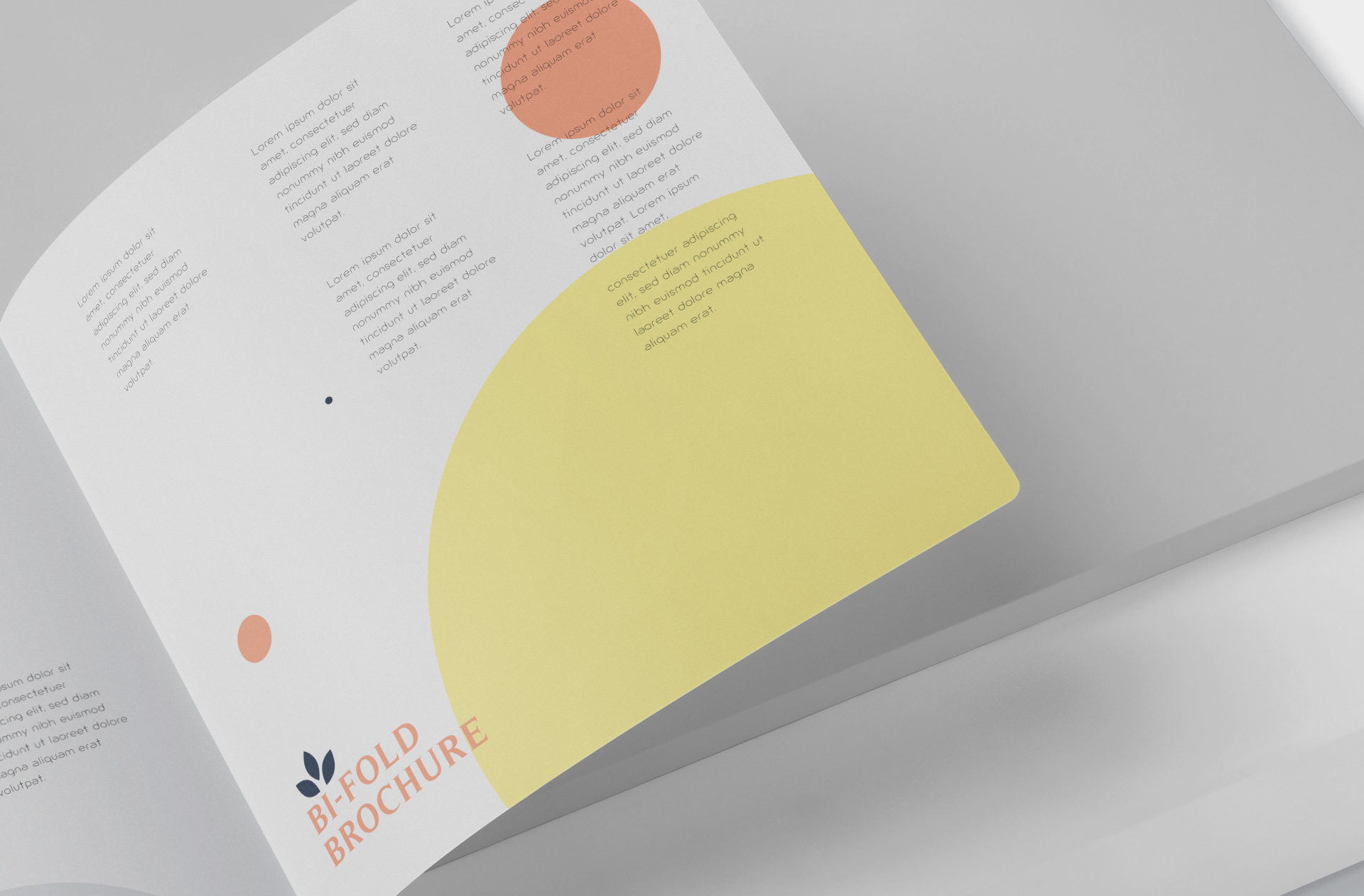 advertising flyer