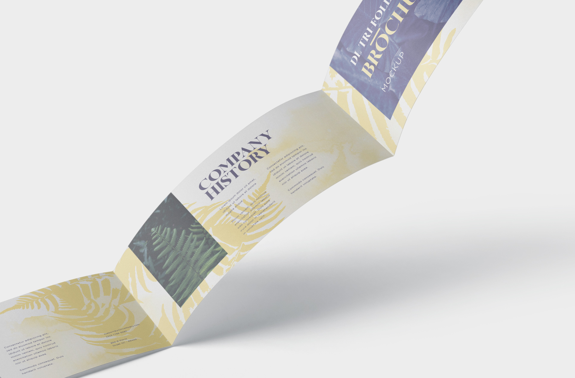 branding presentation