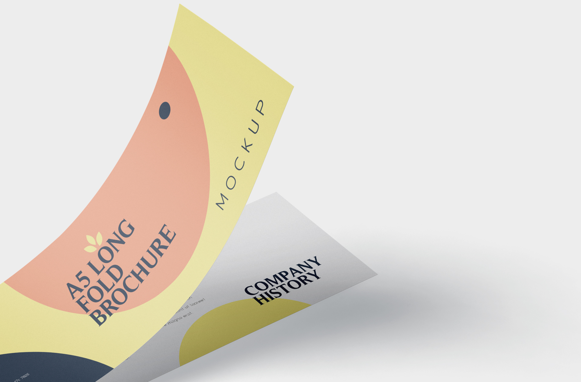 A5 brochure mockup