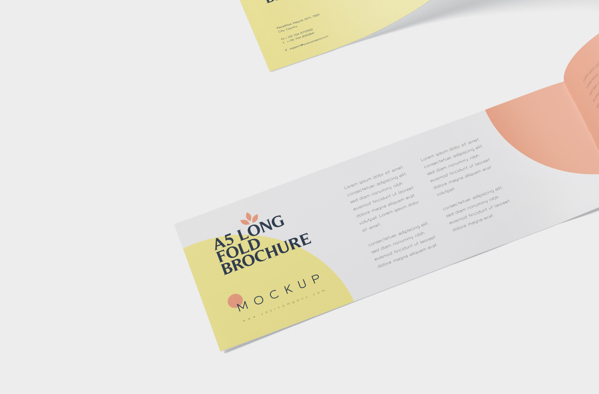 A5 brochure mockup