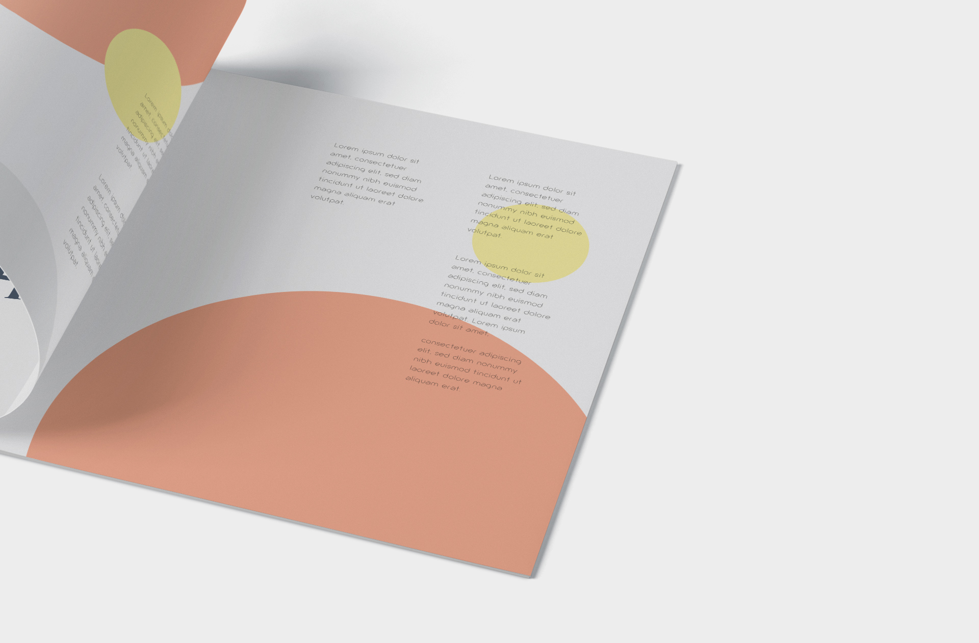 A4 brochure mockup