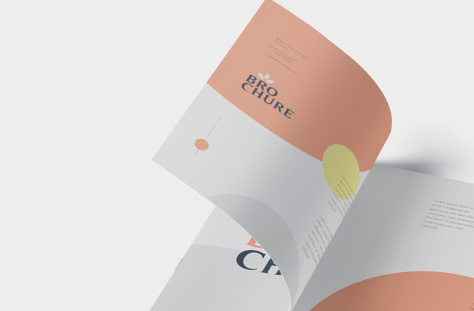 A4 brochure mockup