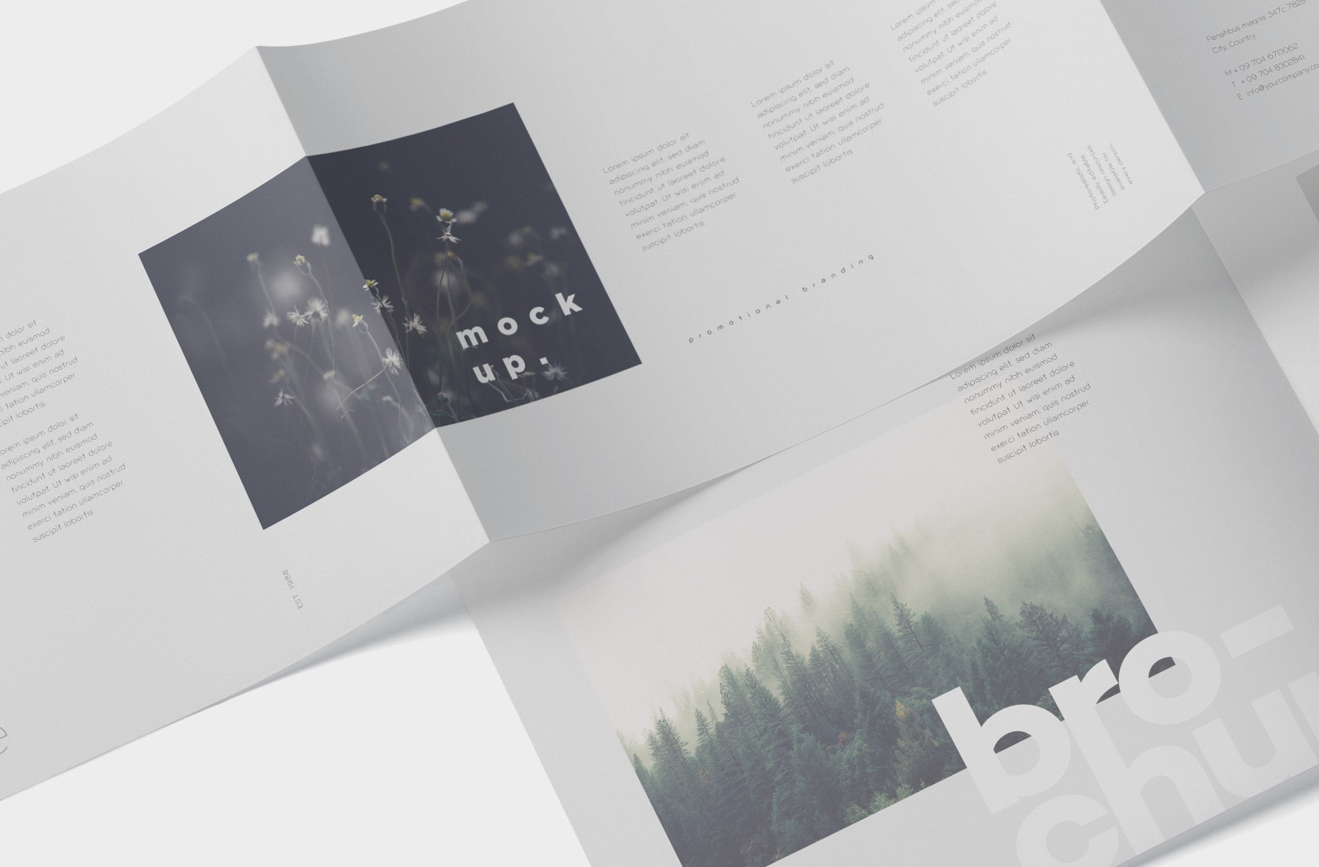 A4 brochure mockup