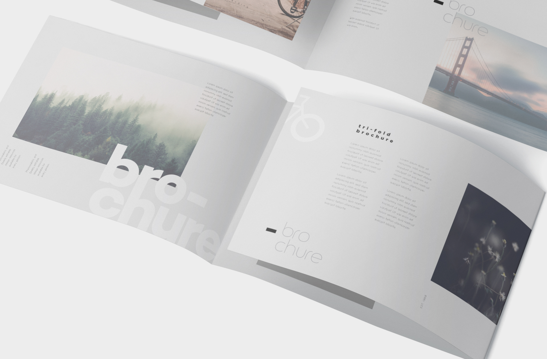 branding brochure mockup