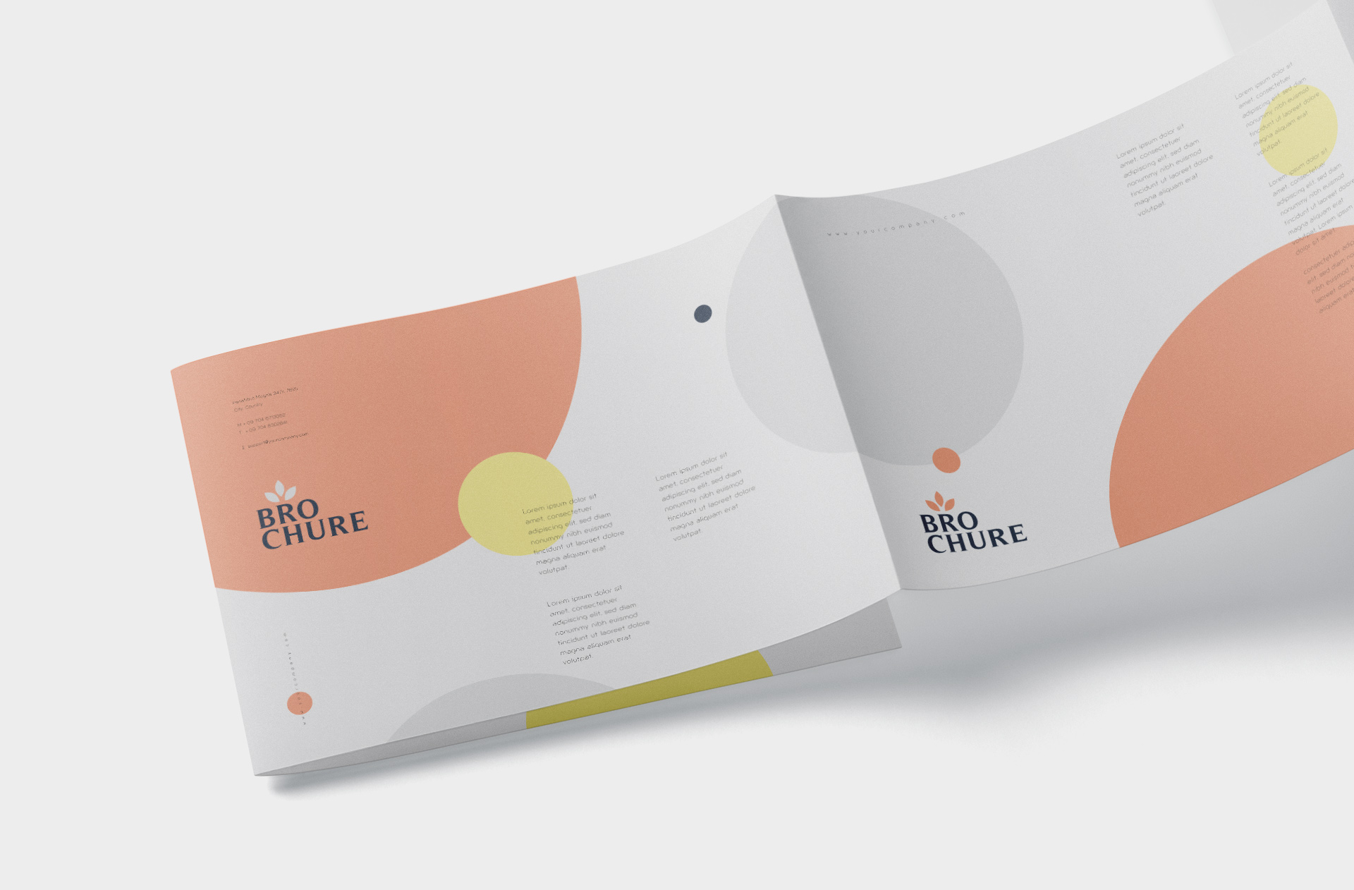 A4 brochure mockup