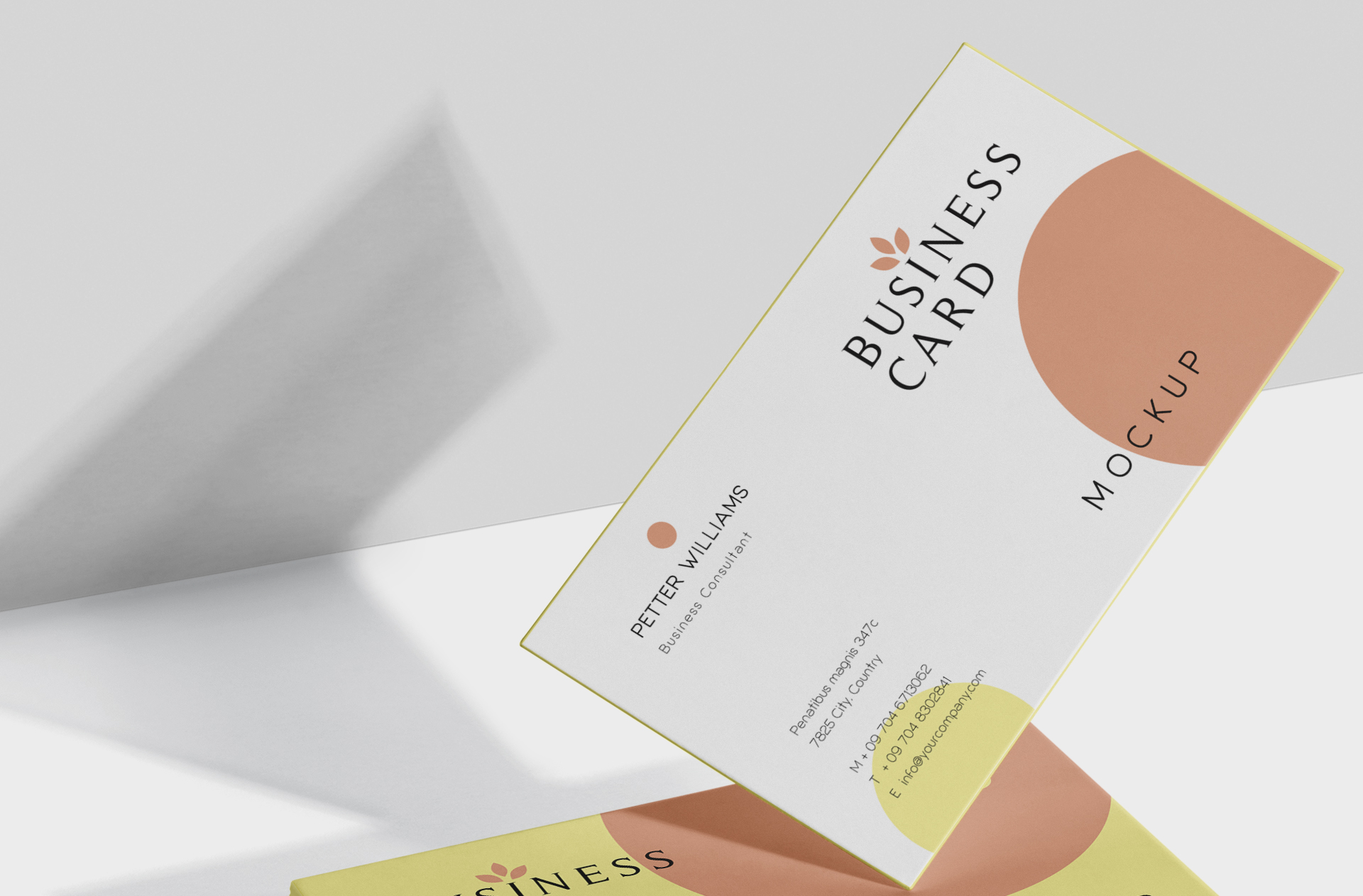 business card mock-up