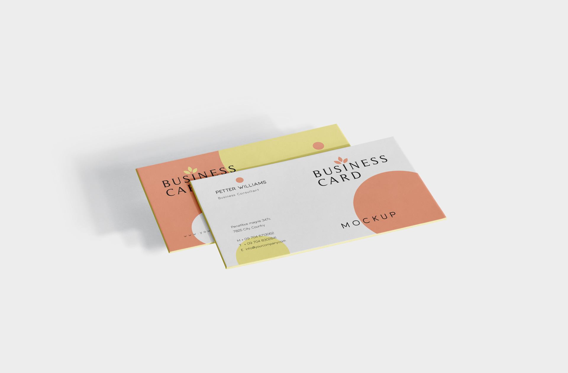 Minimalist Business Card Mockup – Isometric View
