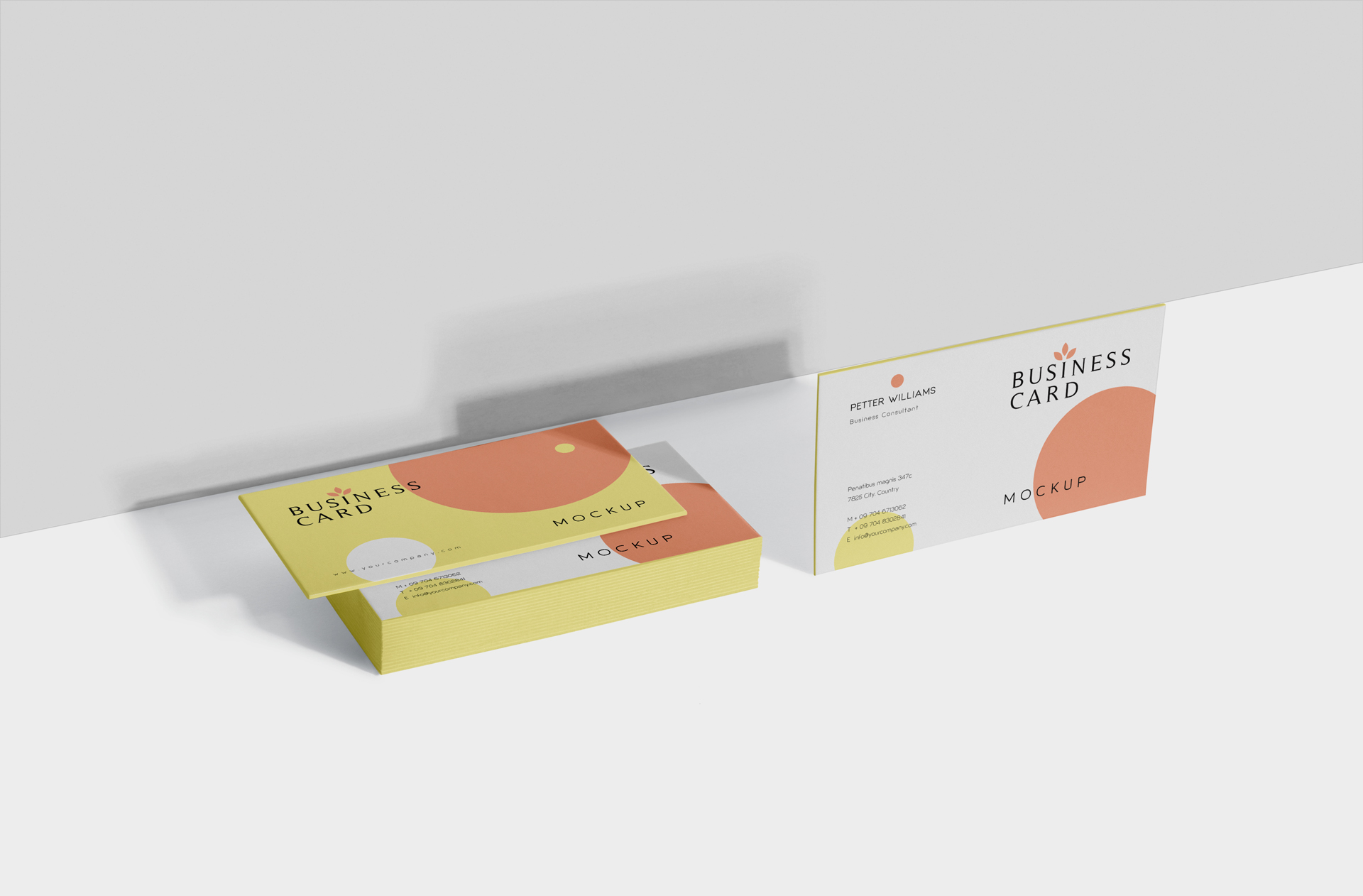 Premium Business Card Mockup with Box