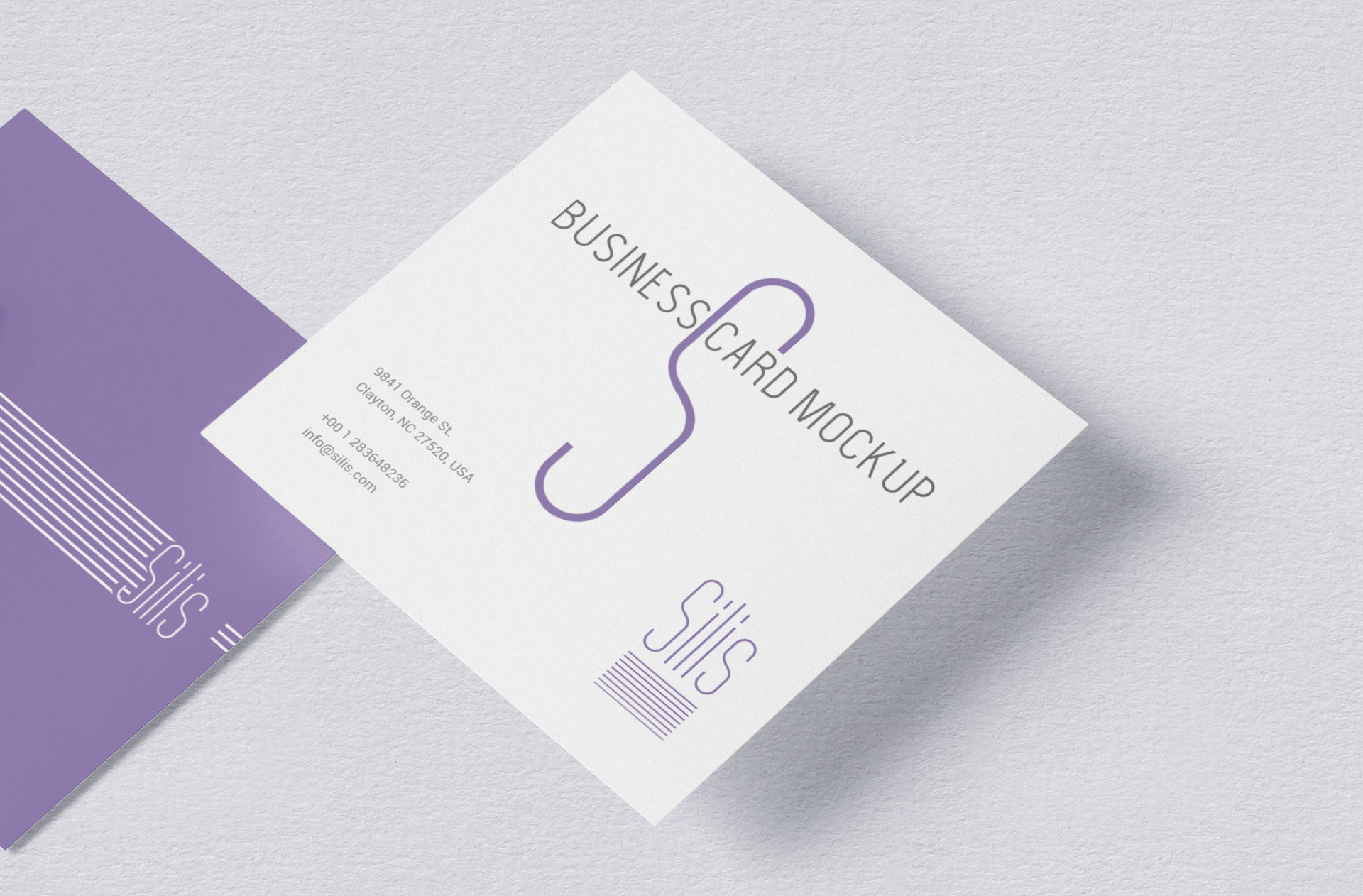 branding and identity mockup