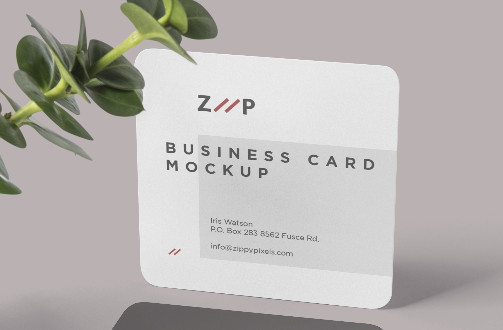 branding mock-up