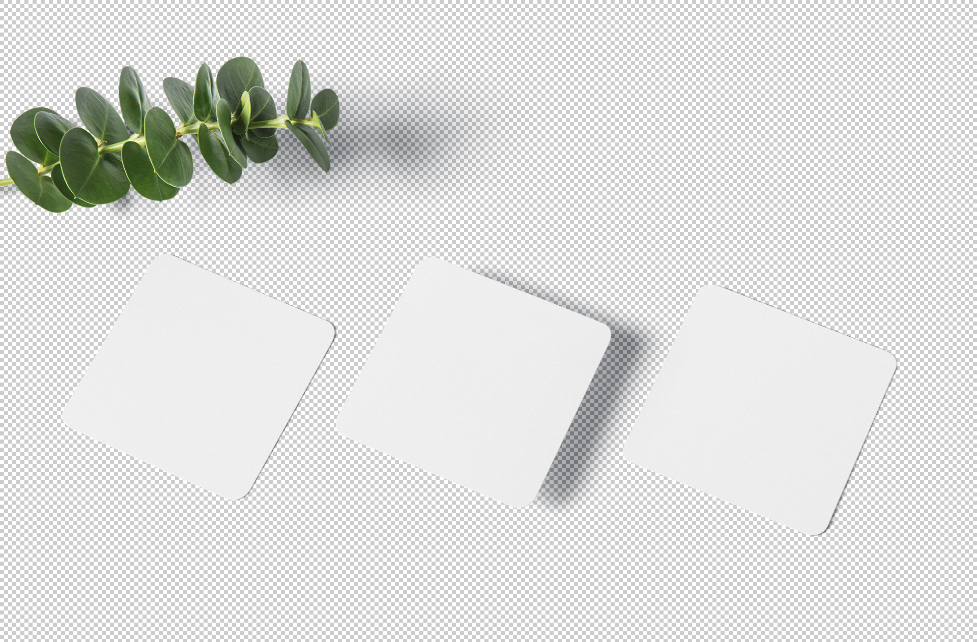 branding identity template