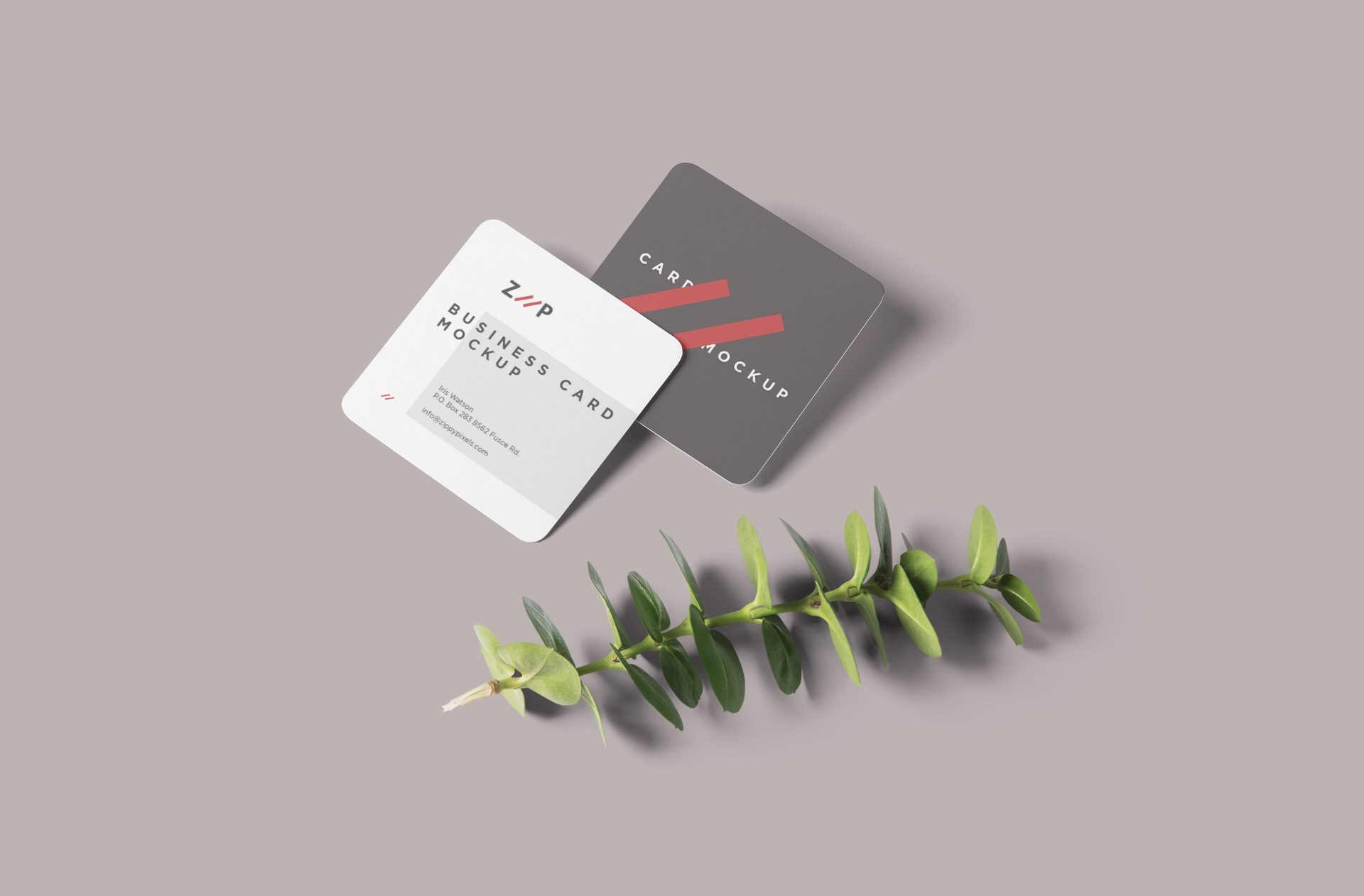 Elegant Floating Square Business Card Mockup