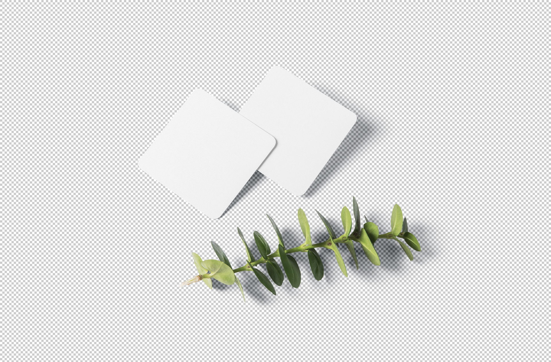 branding mock-up