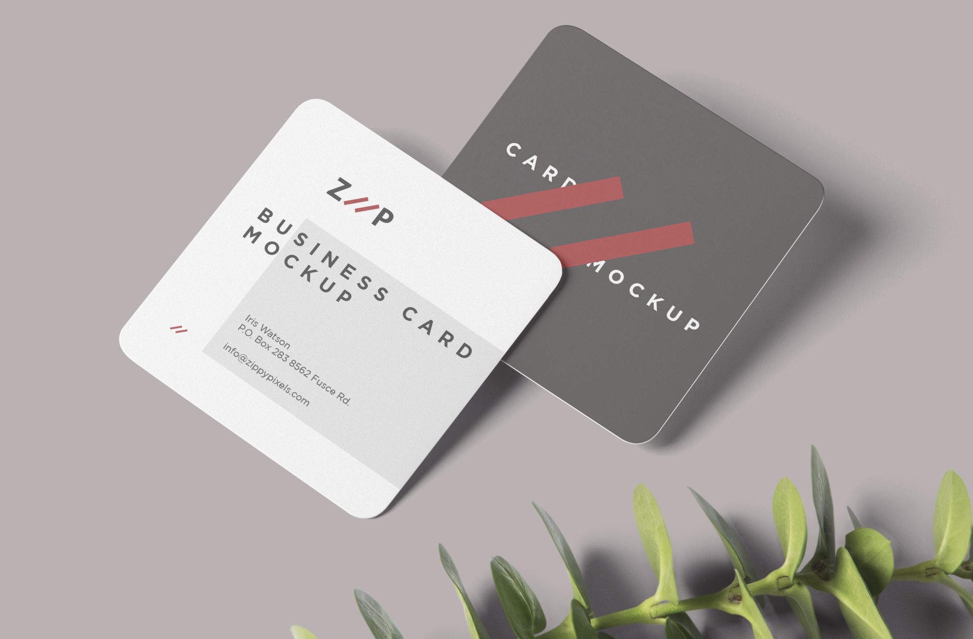 branding mock-up