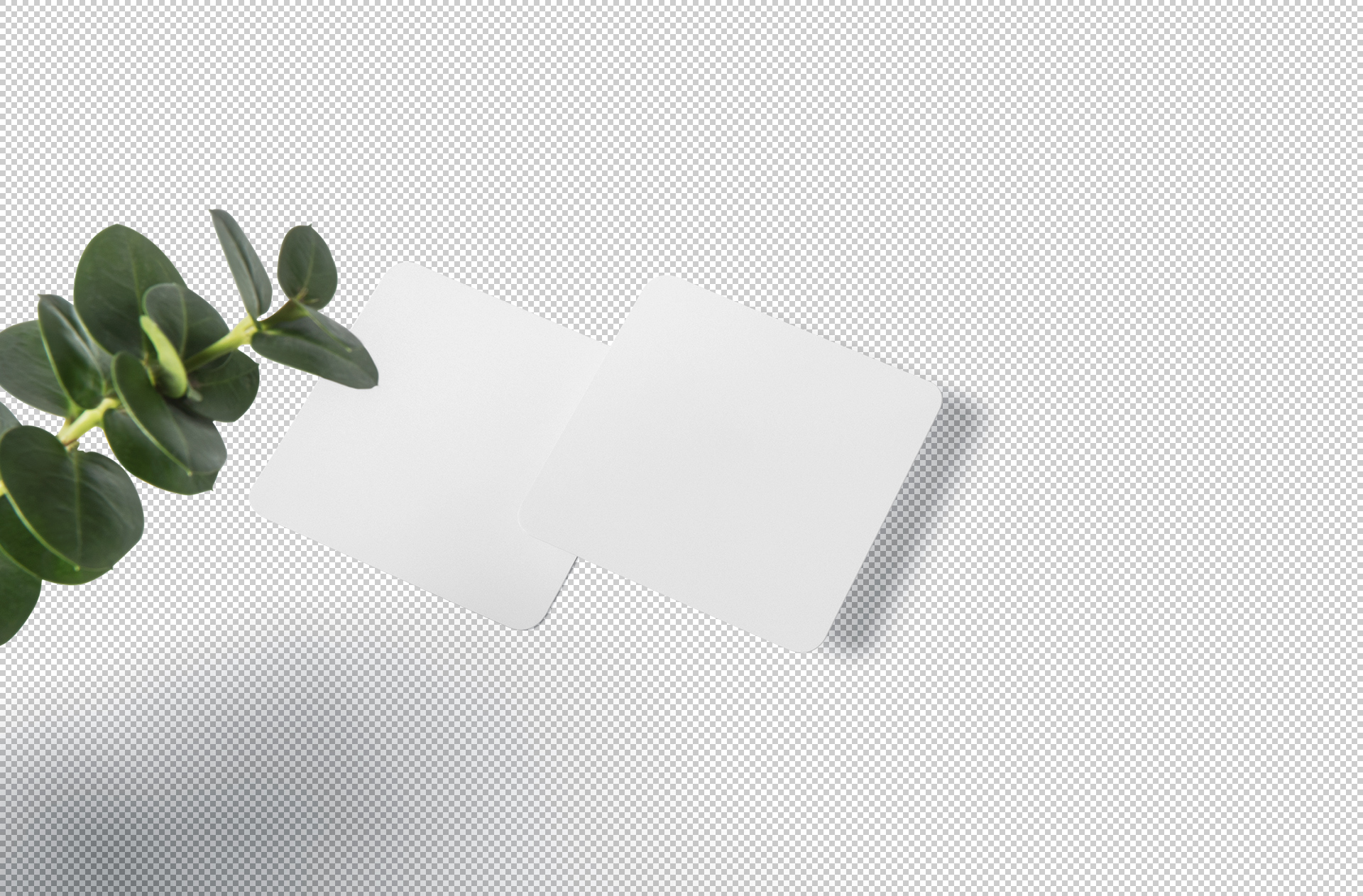 branding mock-up