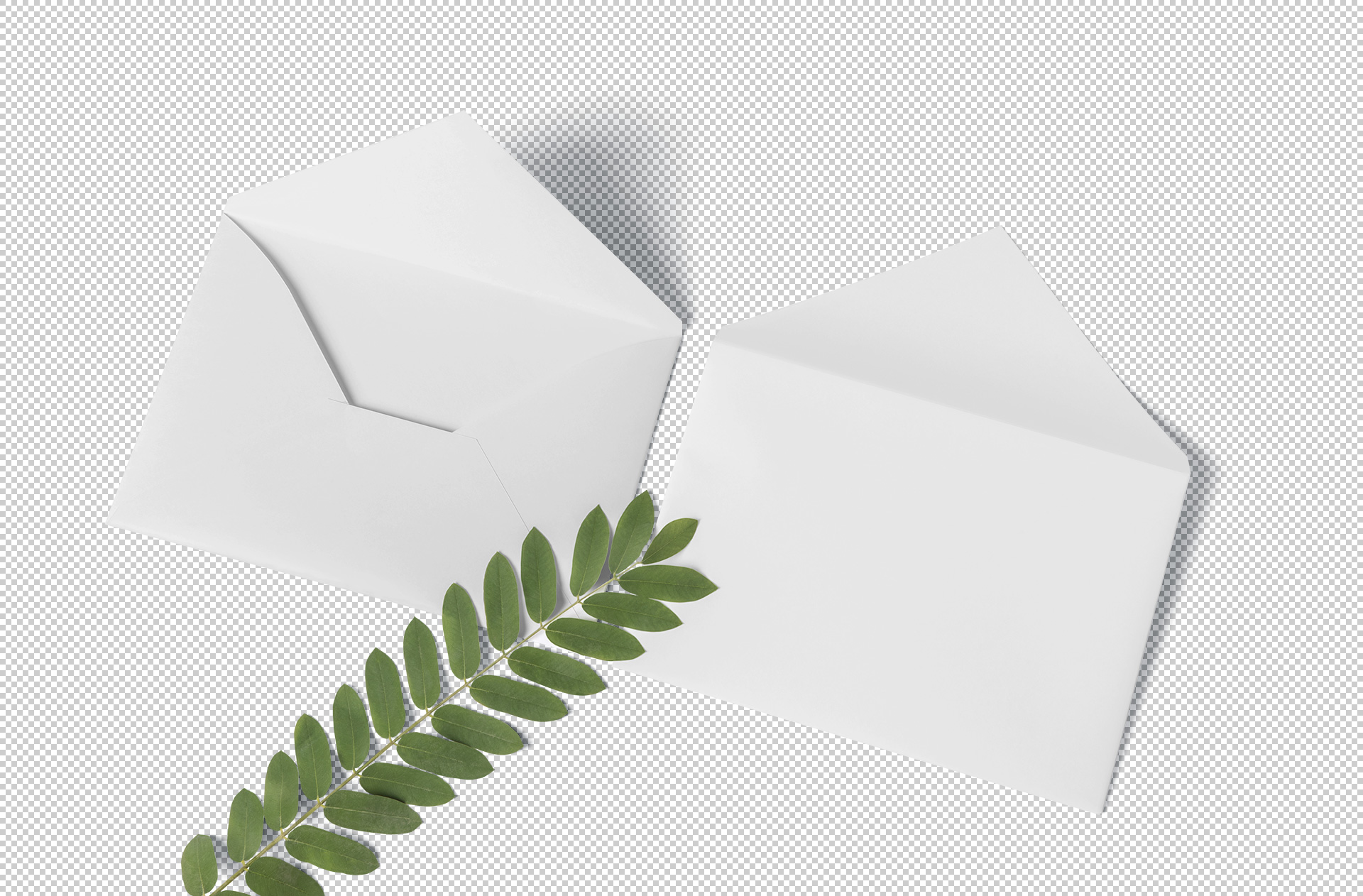 branding mockup PSD