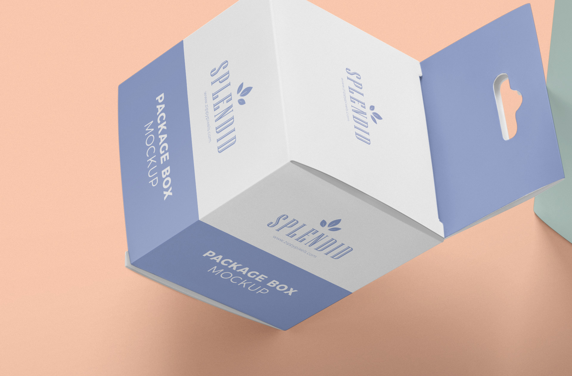 box design showcase
