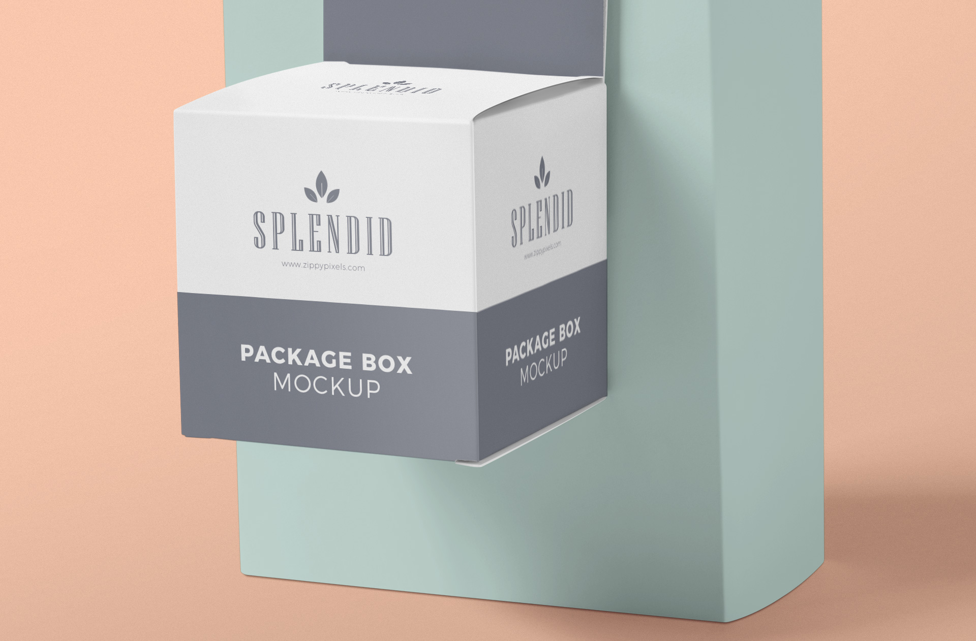 cardboard box mockup
