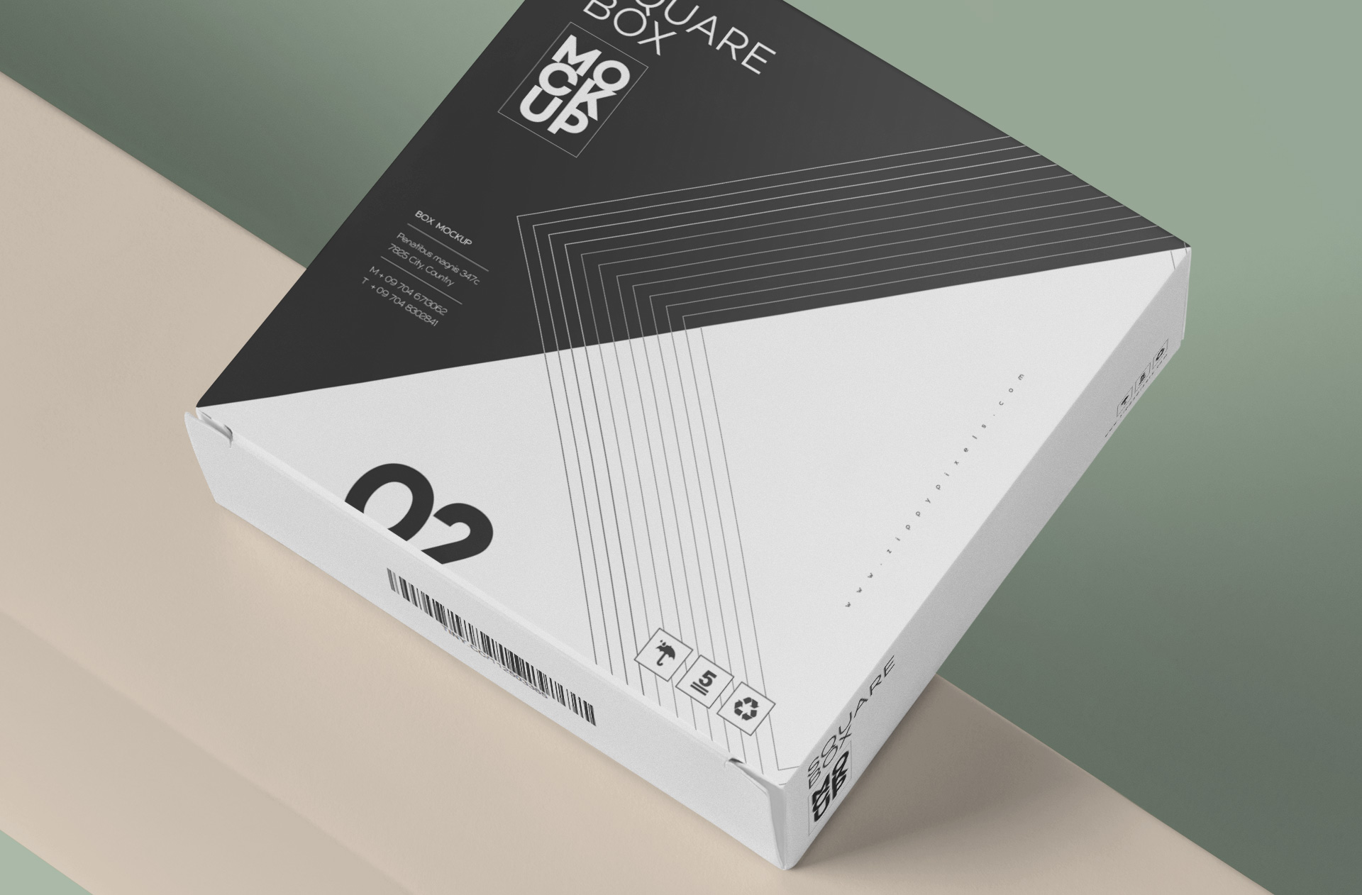branding box PSD