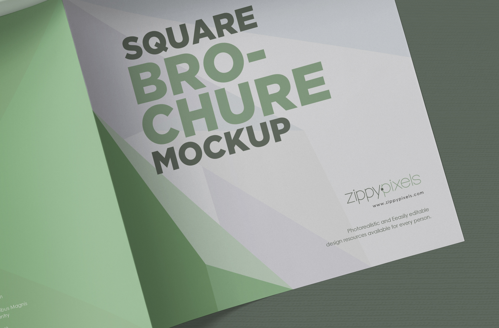 bi-fold brochure mockup