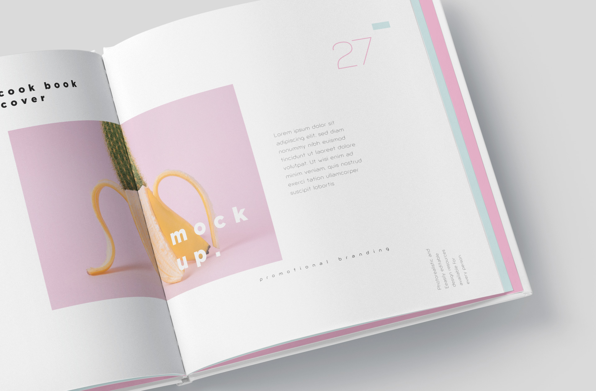 3D book mockup