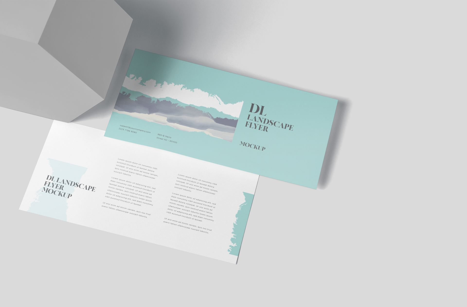 DL Landscape Flyer Mockup for Branding