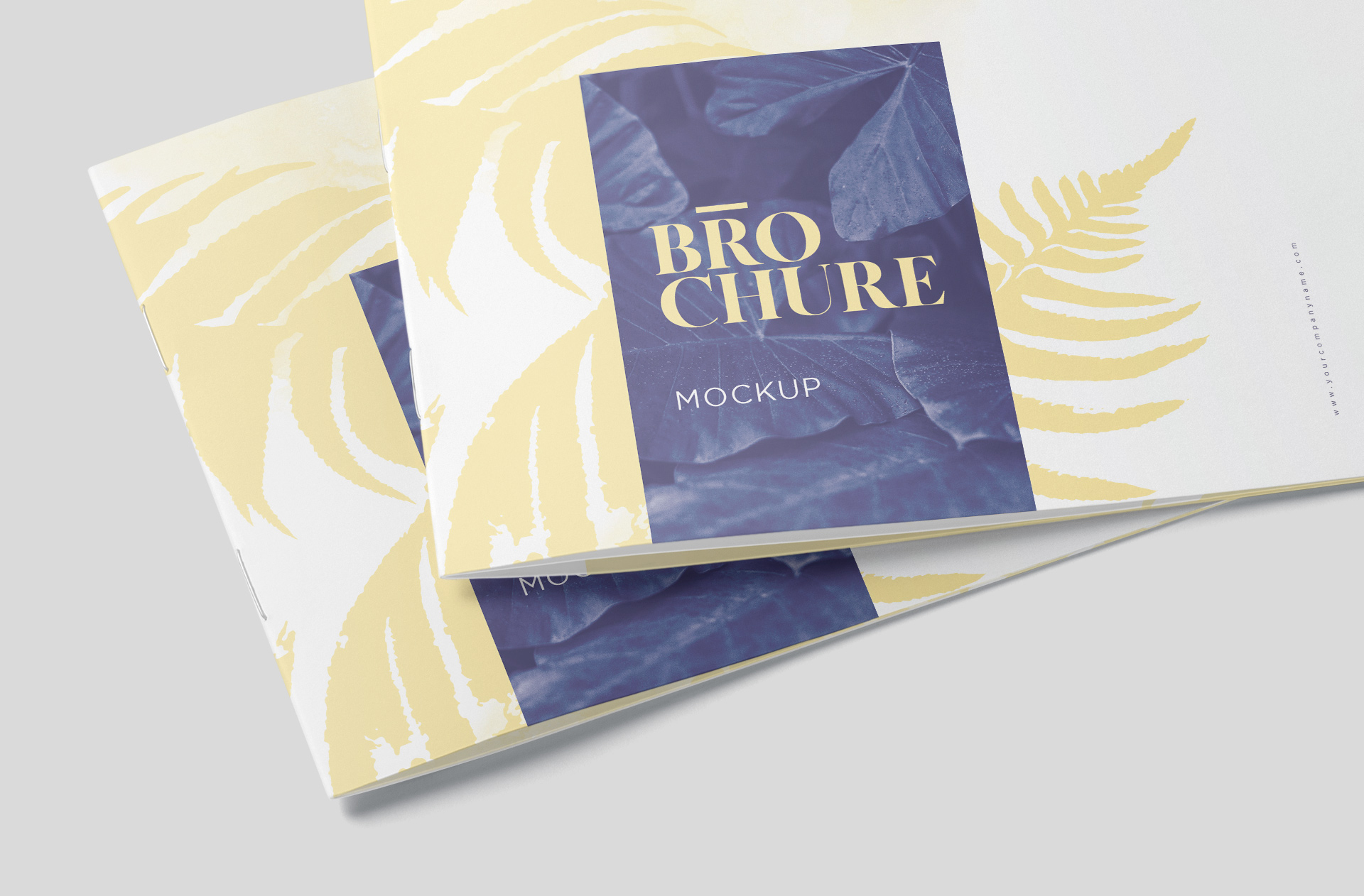 a4 brochure