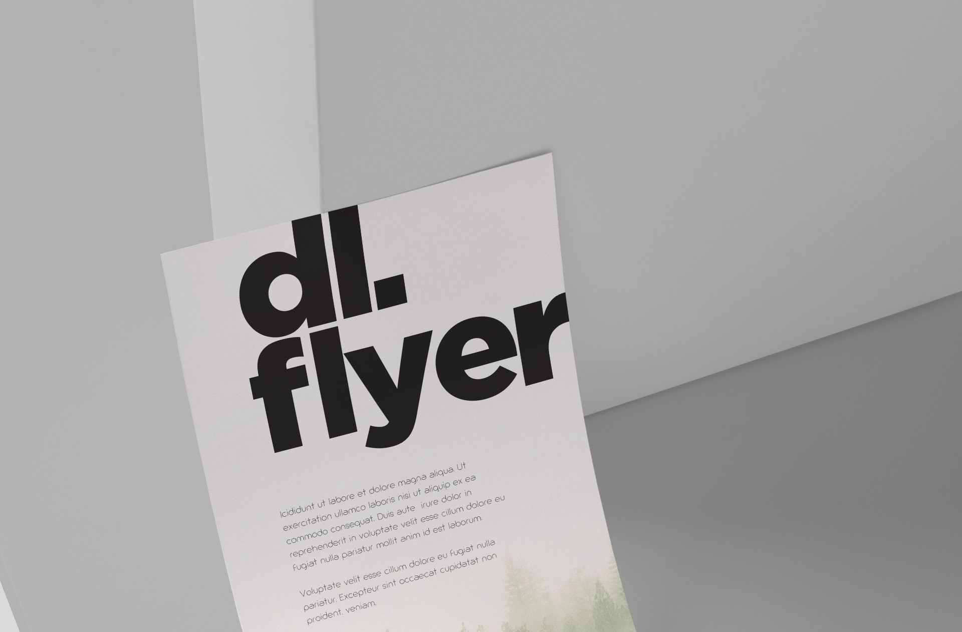 advertising flyer
