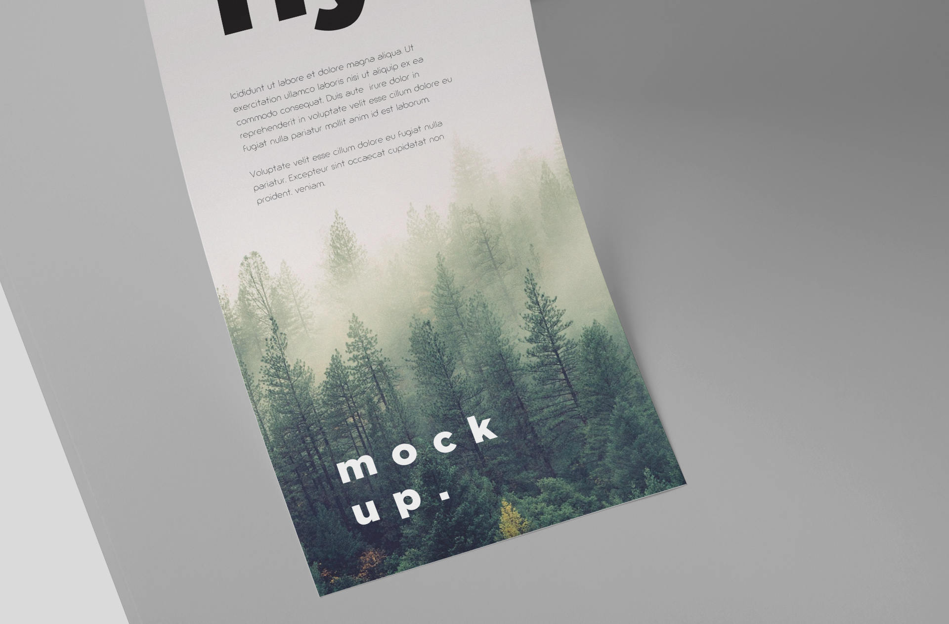 advertising flyer