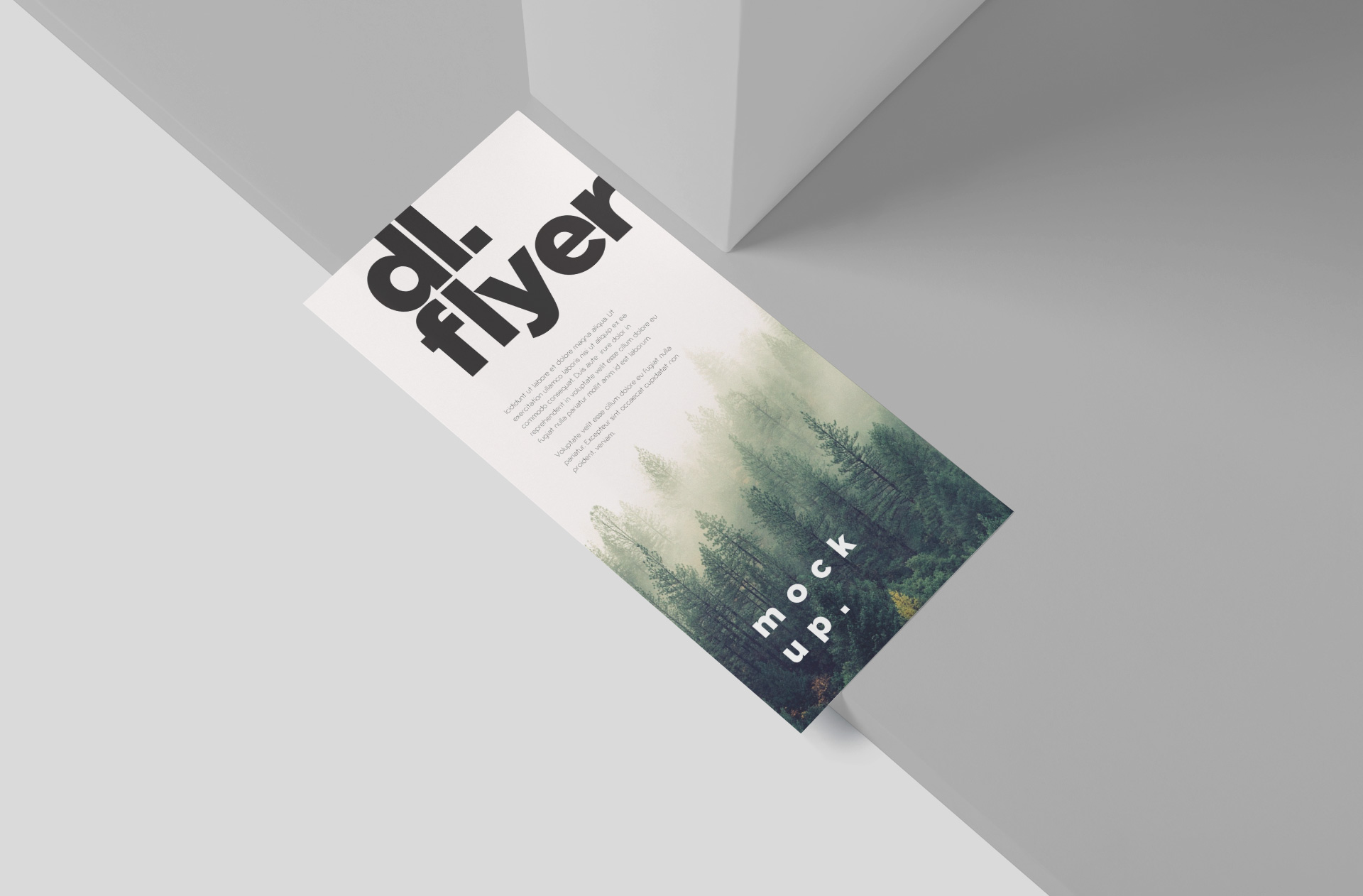 Realistic DL Flyer Mock-up with Sharp Details