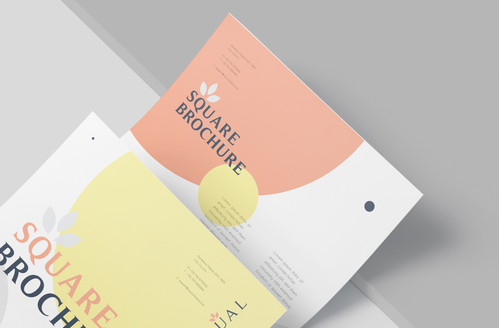 A5 brochure