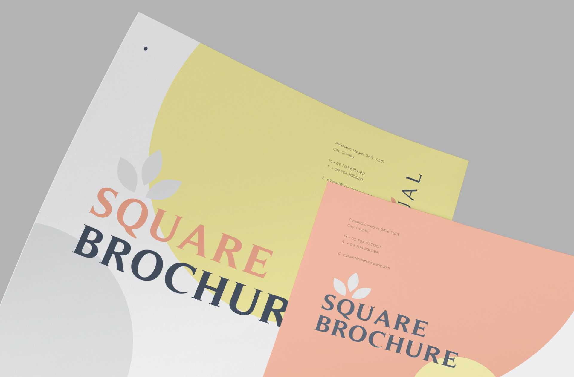 bi-fold brochure