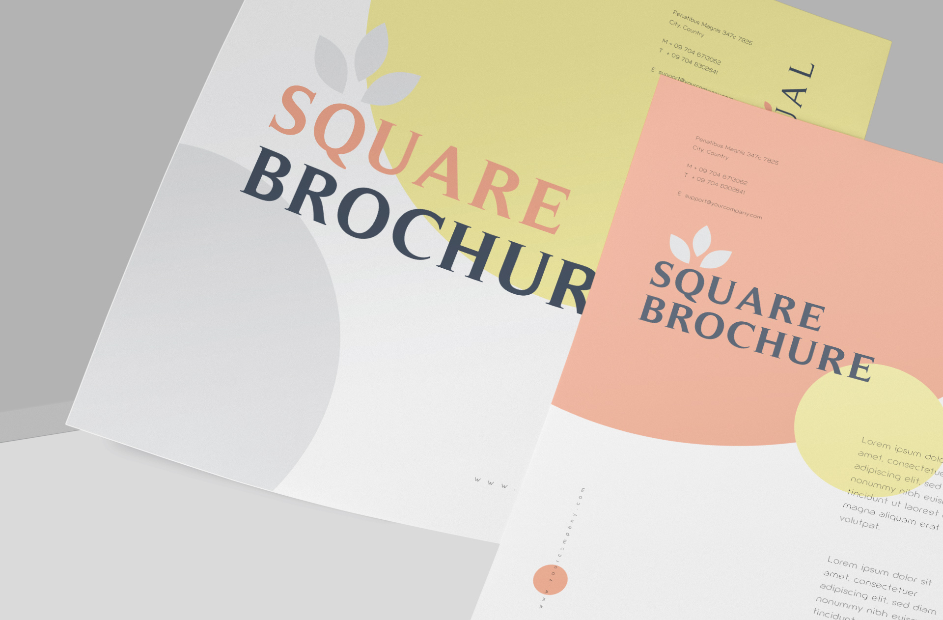bi-fold brochure