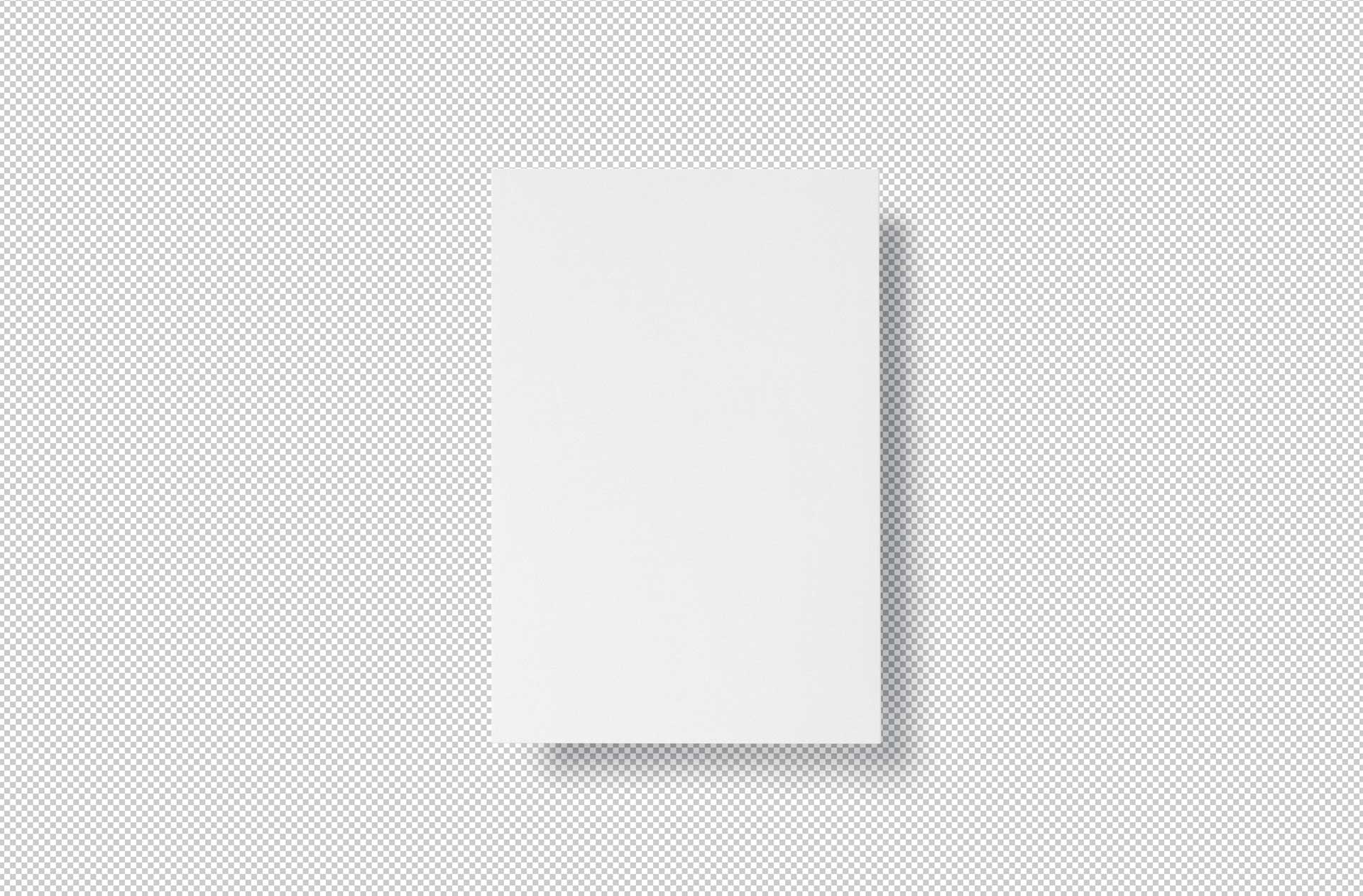 a3 poster