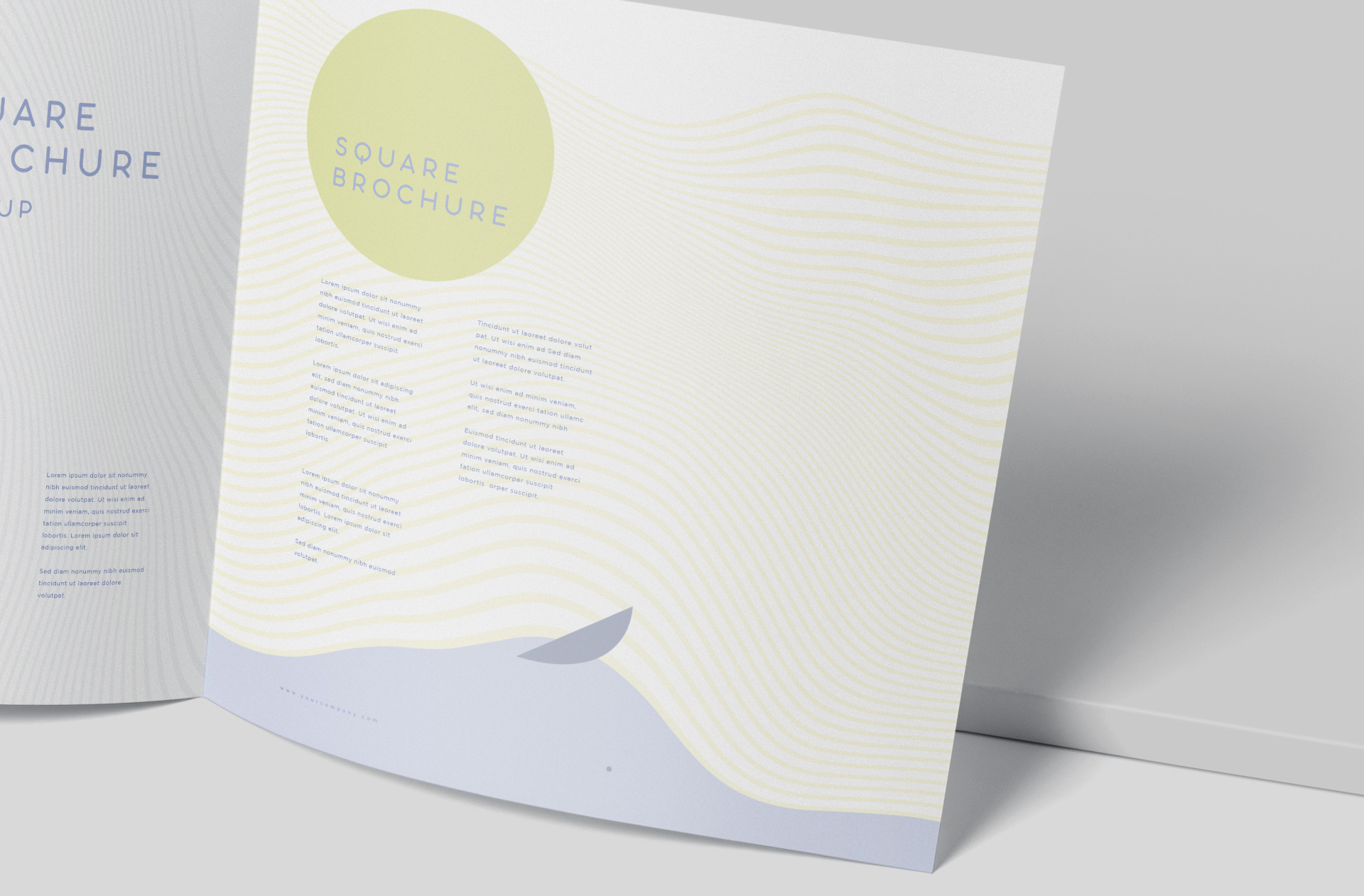 A5 brochure